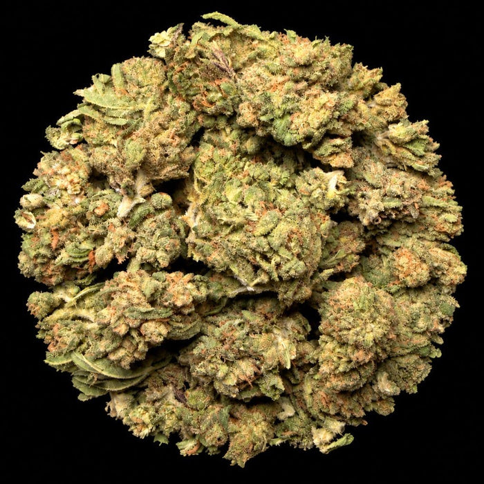 Gas Face THCA Flower - Lost In Translation