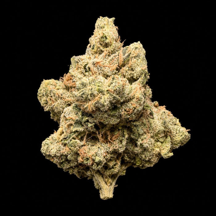 Gas Face THCA Flower - Lost In Translation