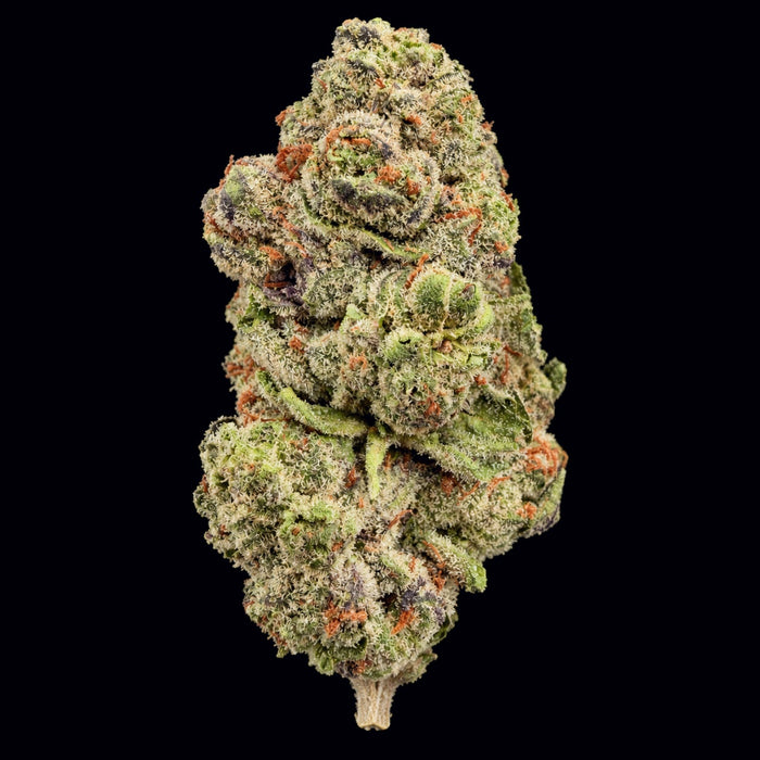 Gastro Pop THCA Flower