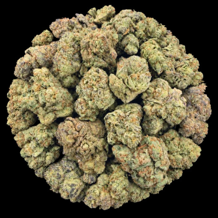 Gelato #41 THCA Flower - Lost In Translation