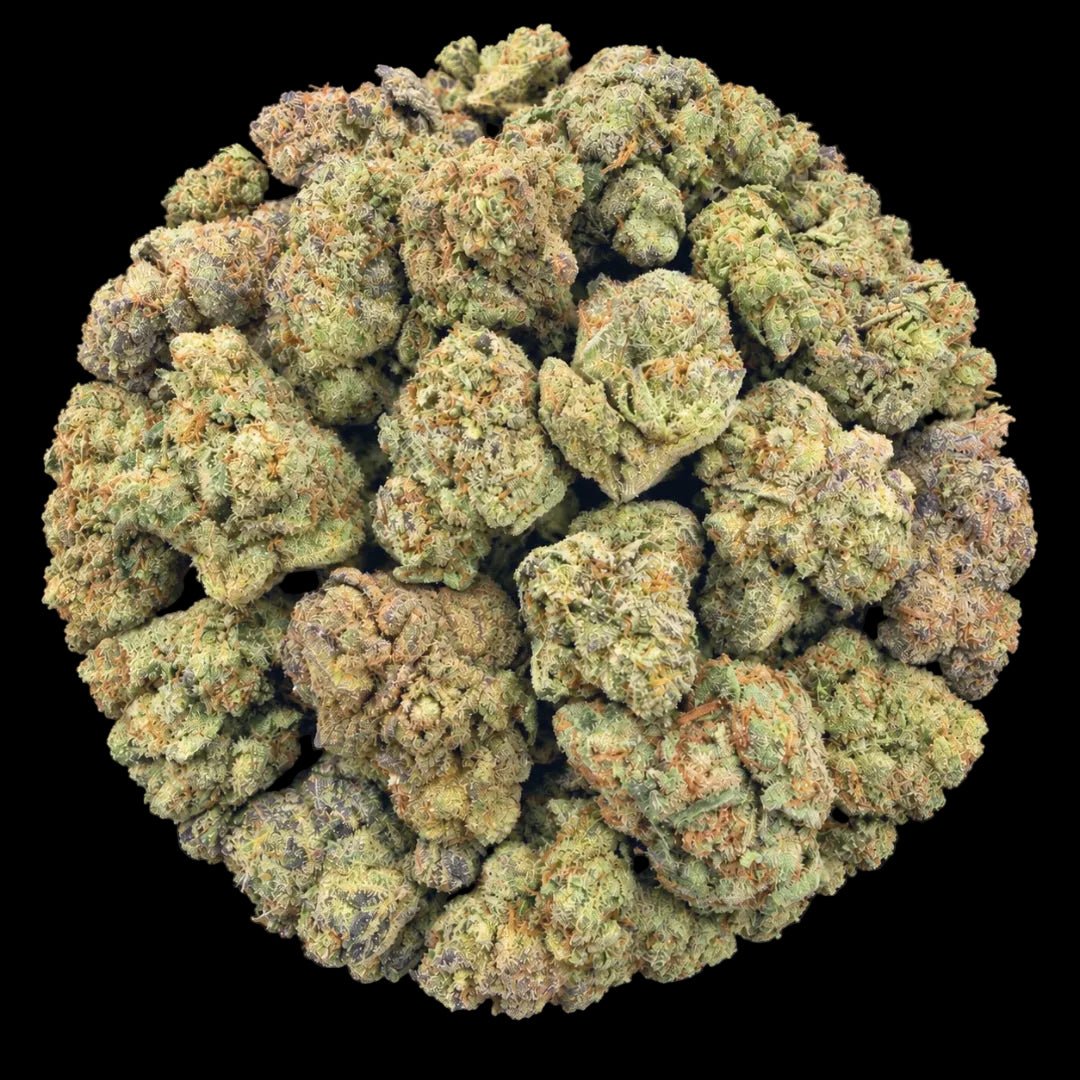 Gelato #41 THCA Flower - Lost In Translation