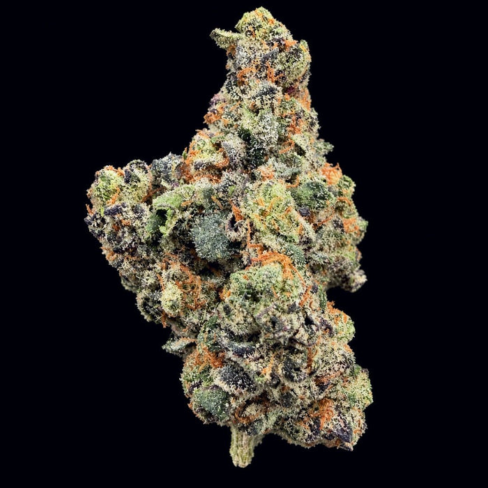 Gelato #41 THCA Flower - Lost In Translation