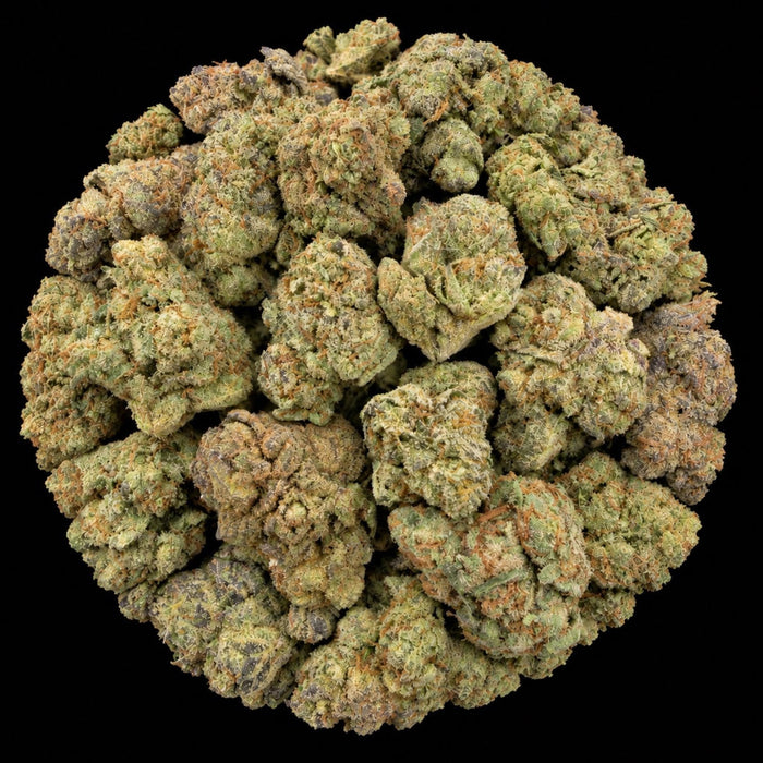 Gelato #41 THCA Flower