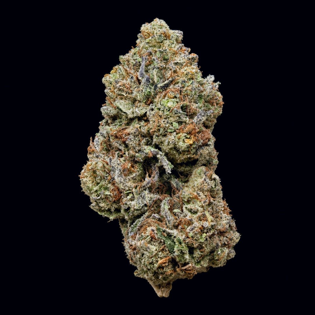 Gelato 41 THCA Flower - Lost In Translation