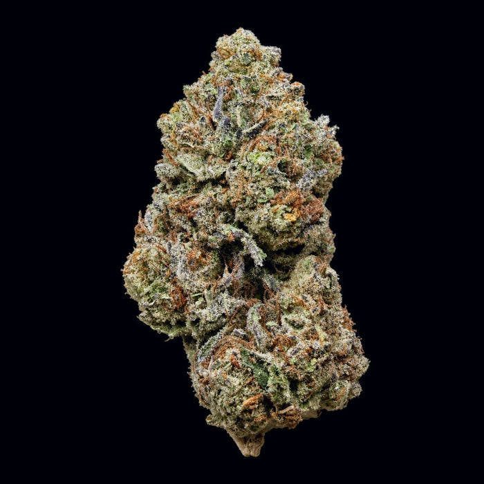 Gelato 41 THCA Flower - Lost In Translation