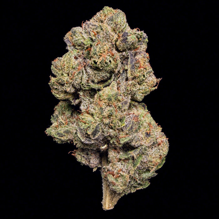 Gelato #41 THCA Flower
