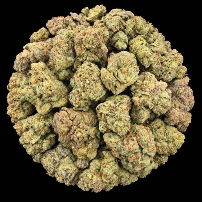 Gelato #41 THCA Flower