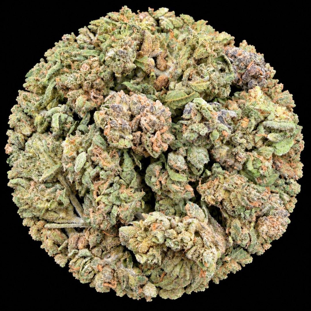 Gelato Cake THCA Flower - Lost In Translation