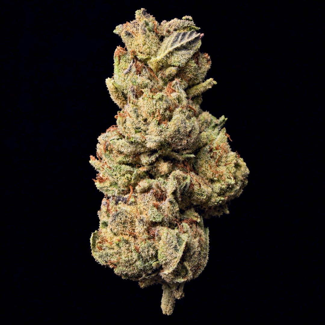 Gelato King THCA Flower - Lost In Translation