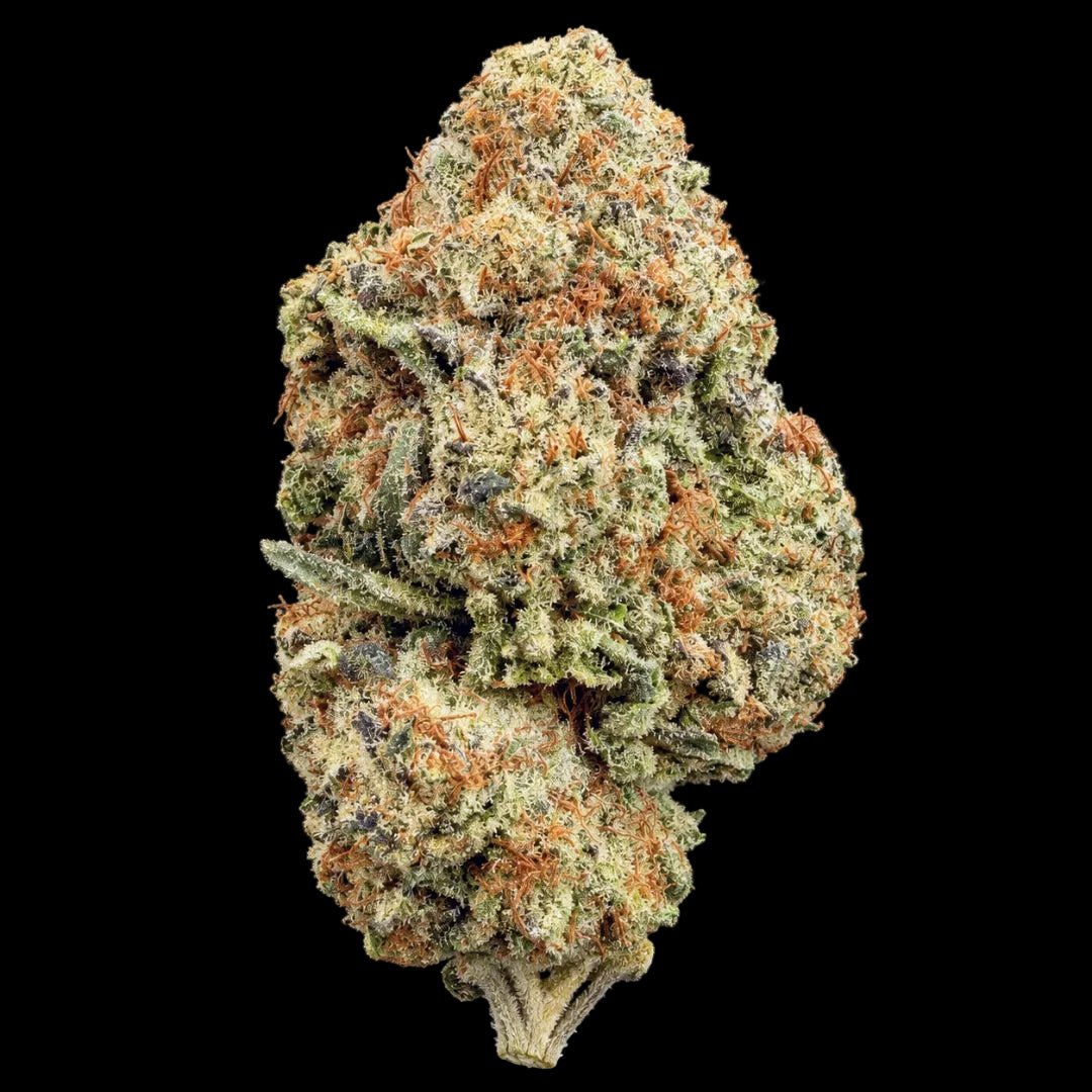 Gelato King THCA Flower - Lost In Translation