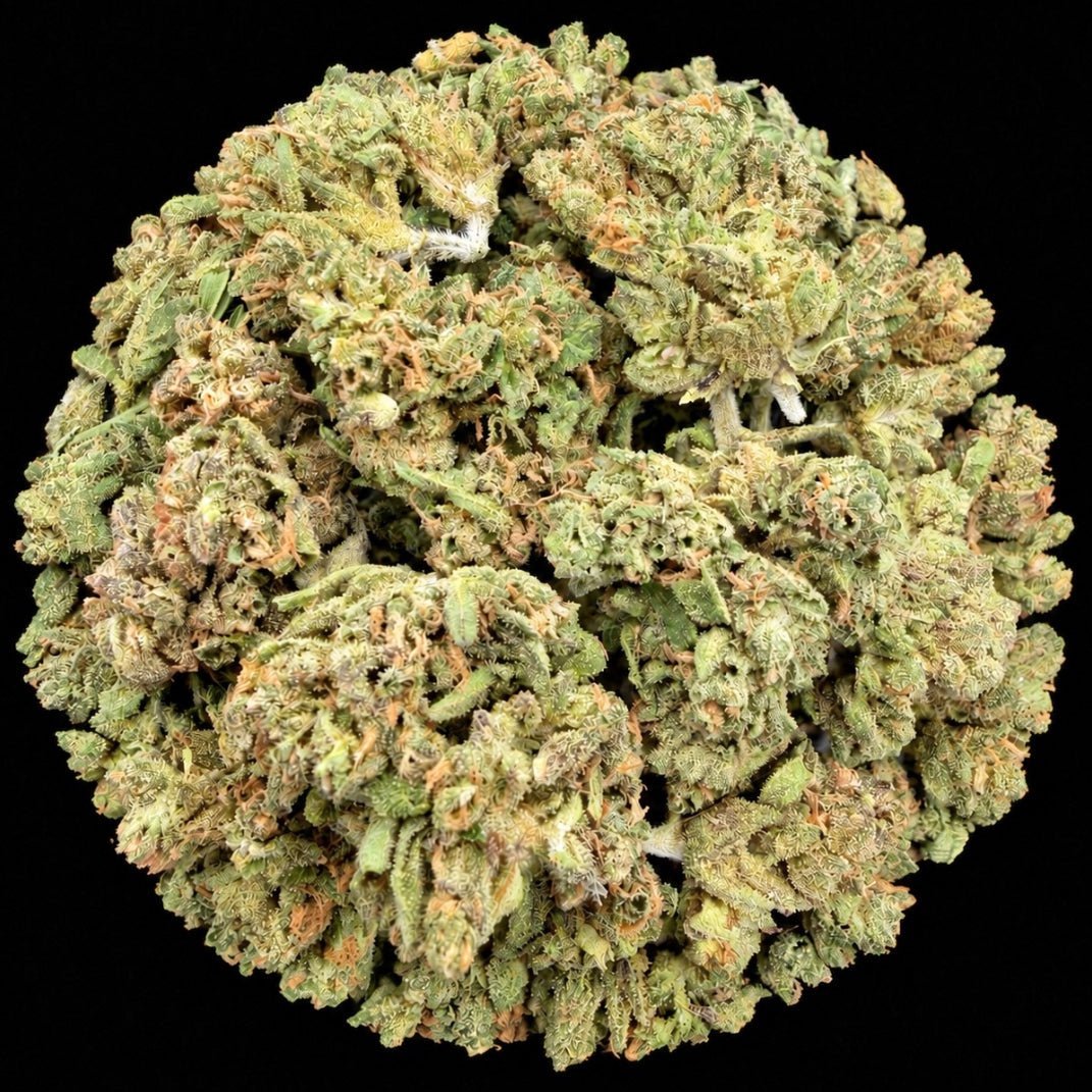 Gelato THCA Flower - Lost In Translation