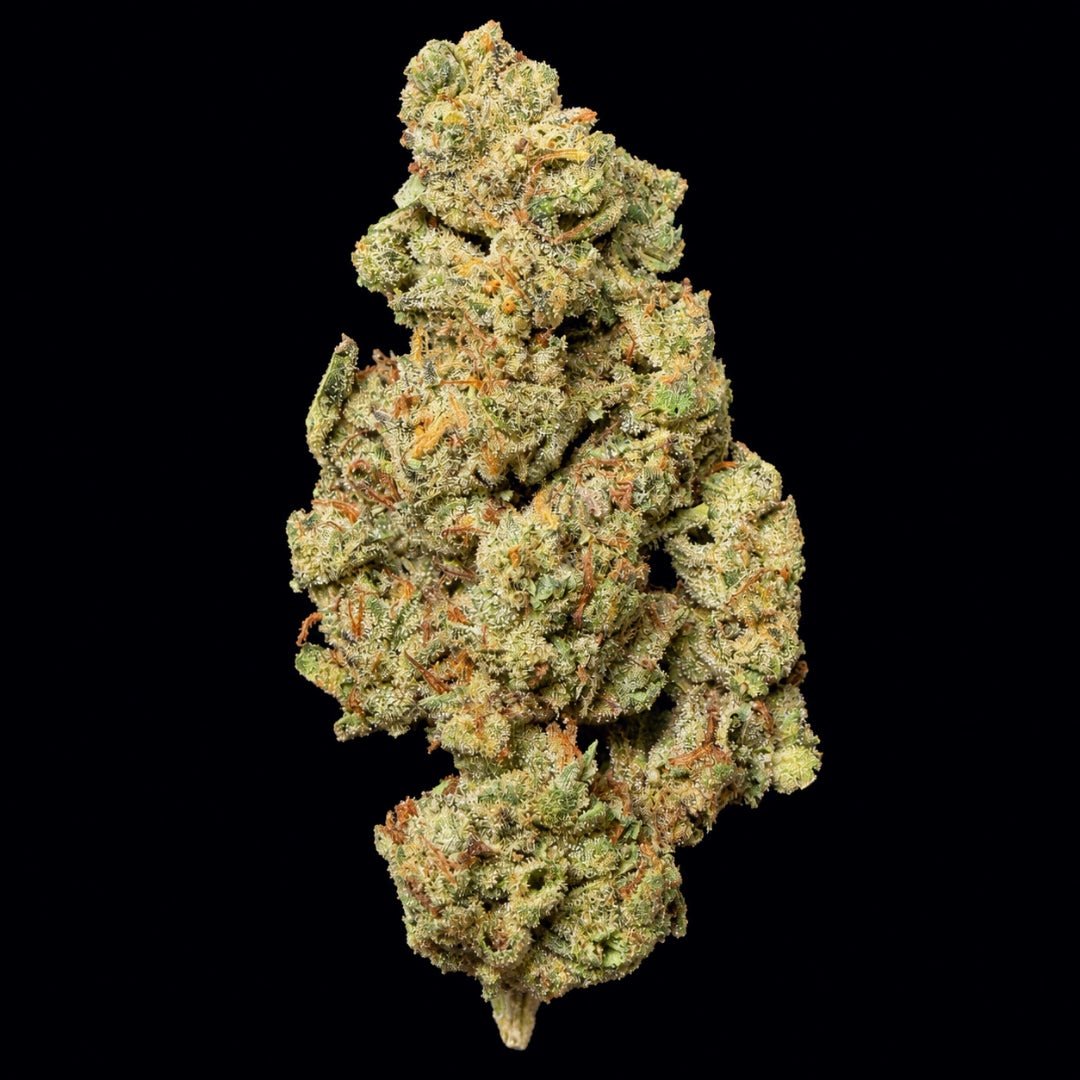 Gelatti THCA Flower - Lost In Translation