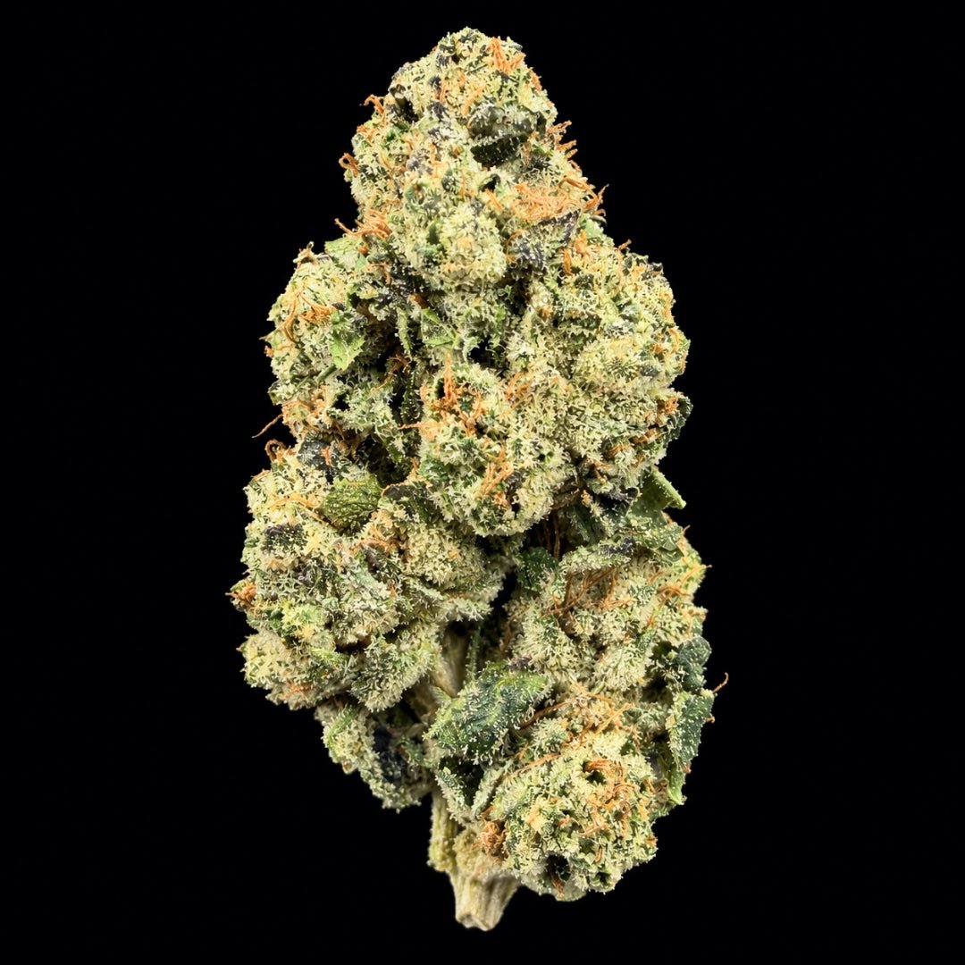 Gelatti THCA Flower - Lost In Translation