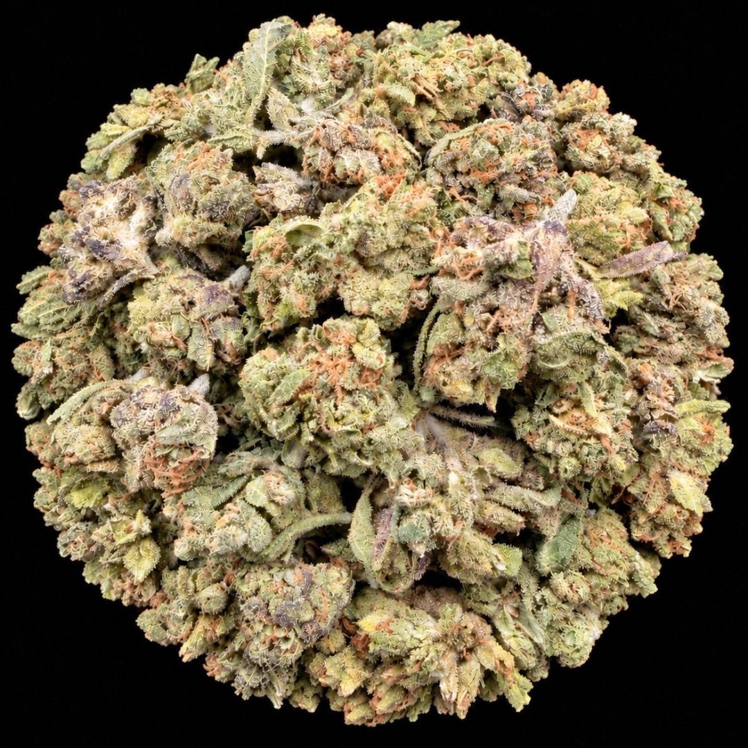 Gelonade THCA Flower - Lost In Translation