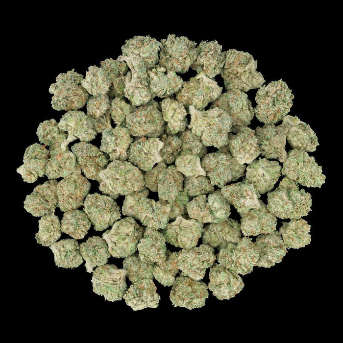 Lemon OG THCA Flower - Lost In Translation