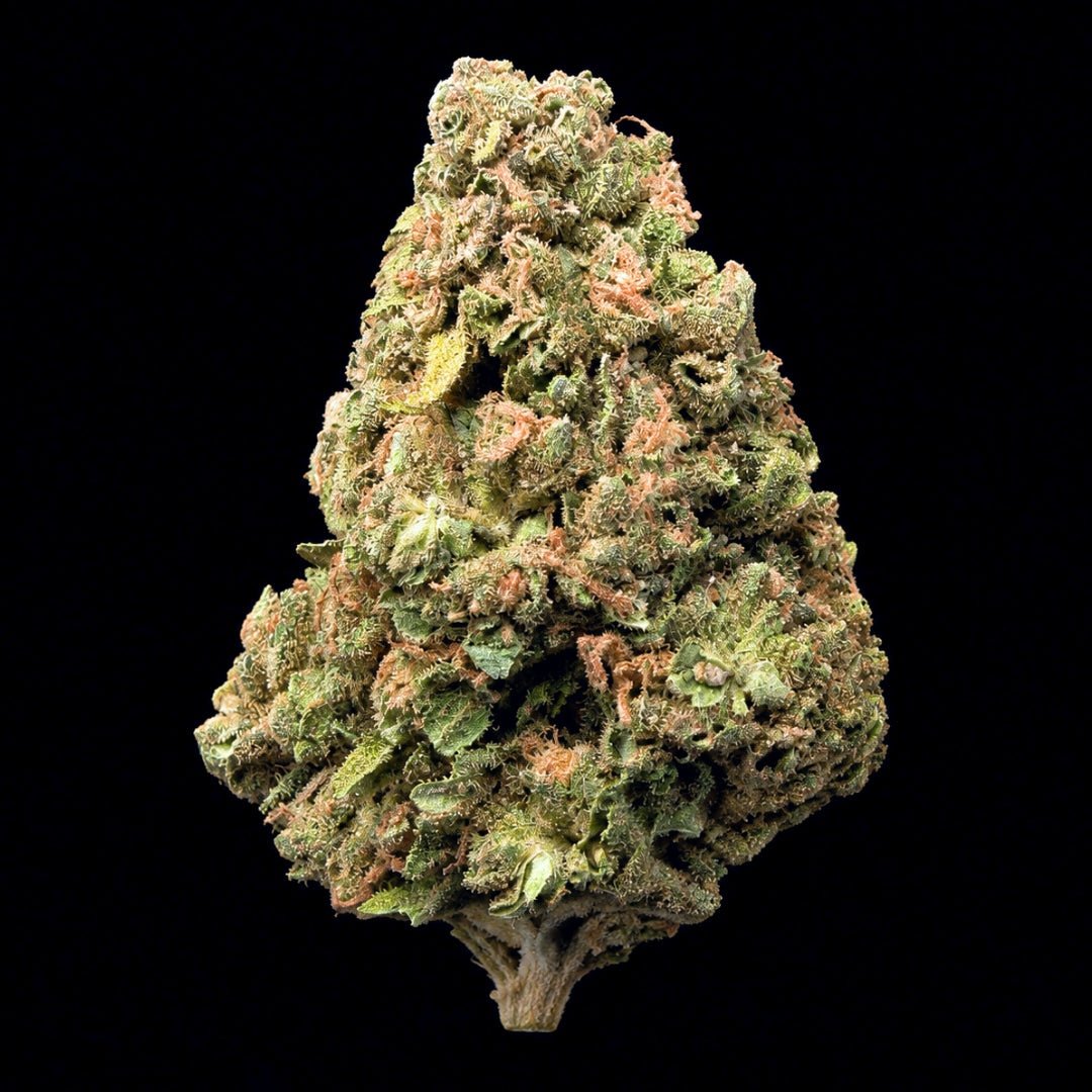 Grape Cream Cake THCA Flower - Lost In Translation
