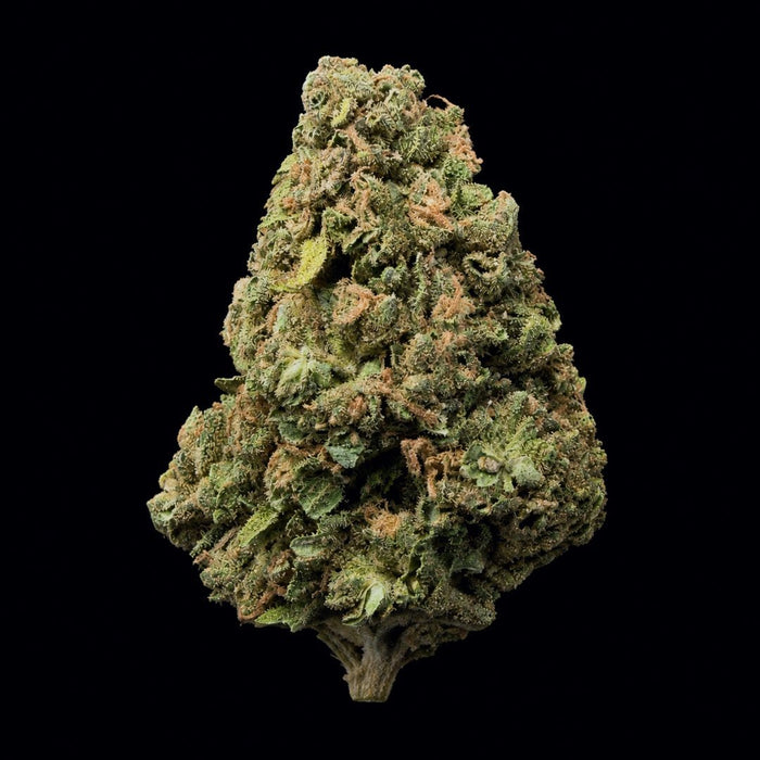 Grape Cream Cake THCA Flower - Lost In Translation