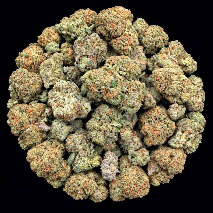 Grape Gas THCA Flower - Lost In Translation