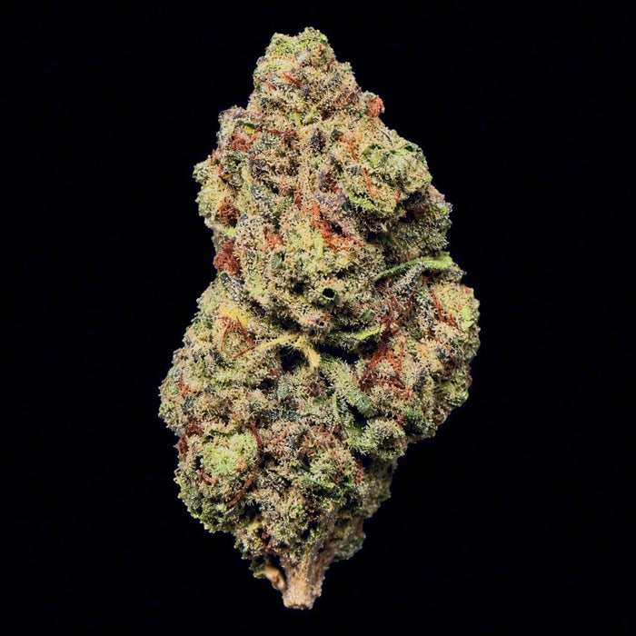 Grape Gas THCA Flower - Lost In Translation