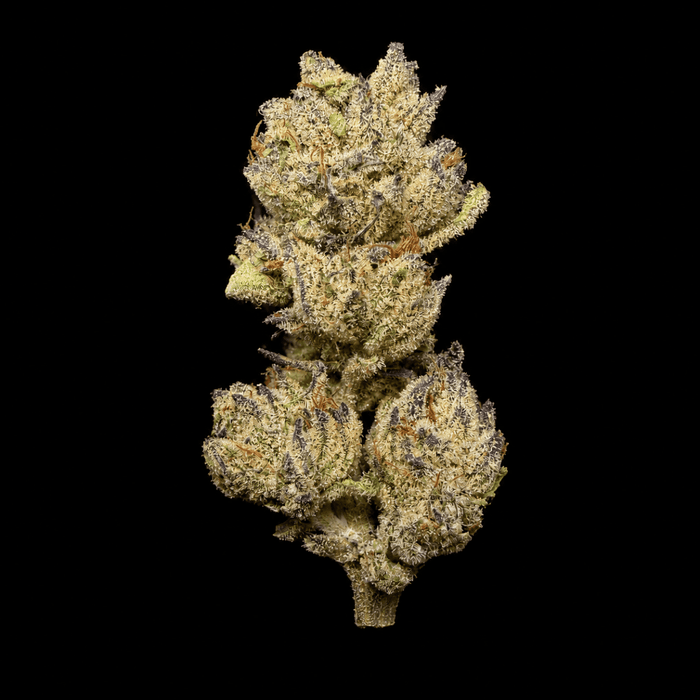 Grape Gas THCA Flower - Lost In Translation