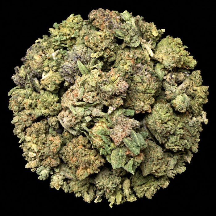 Gruntz THCA Flower