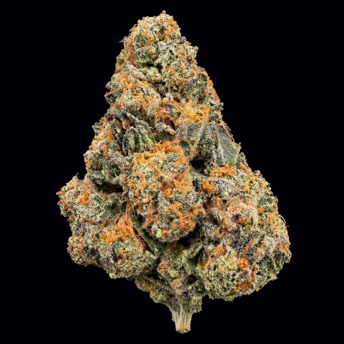 Gruntz THCA Flower - Lost In Translation