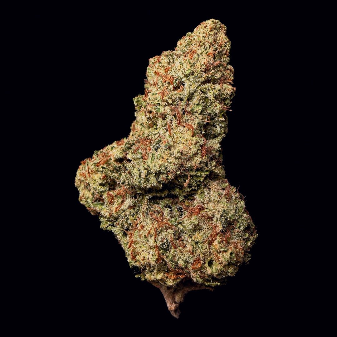 Guava Runtz THCA Flower - Lost In Translation