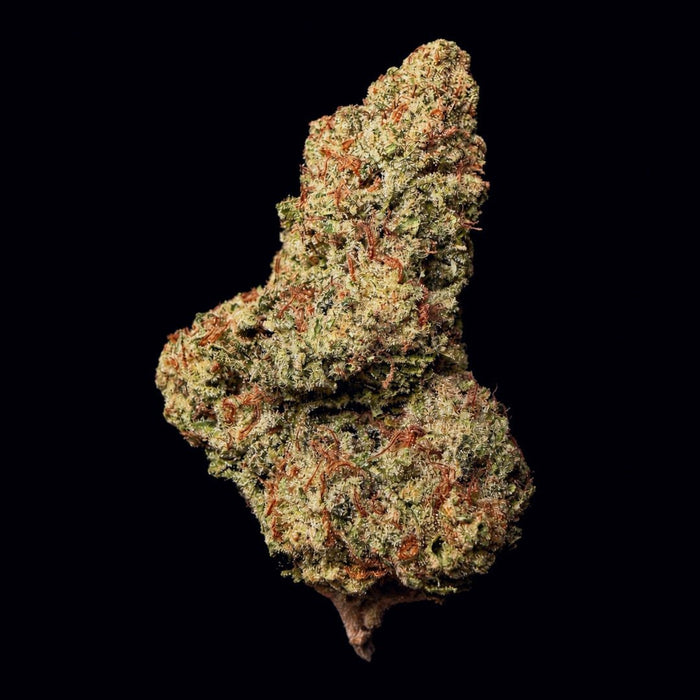 Guava Runtz THCA Flower - Lost In Translation