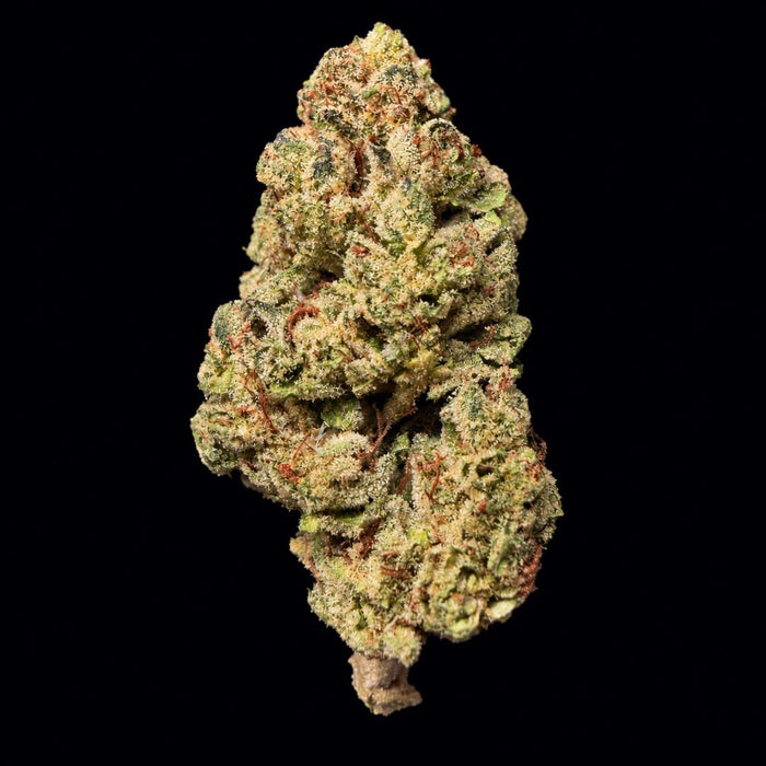 Guava Runtz THCA Flower - Lost In Translation