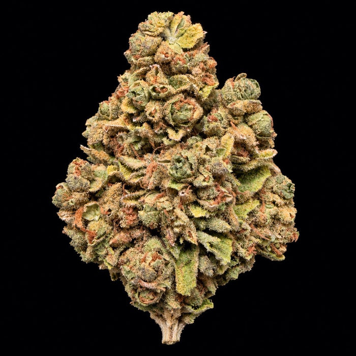 Gumbo THCA Flower - Lost In Translation