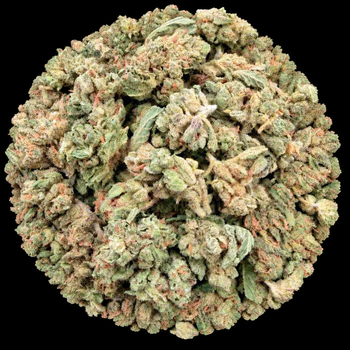 Gumbo THCA Flower