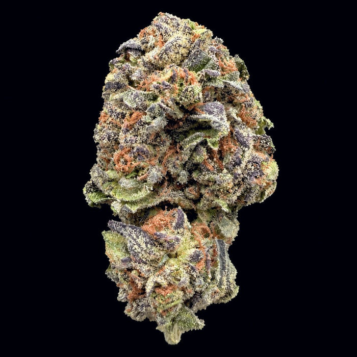 Gush Mintz THCA Flower - Lost In Translation