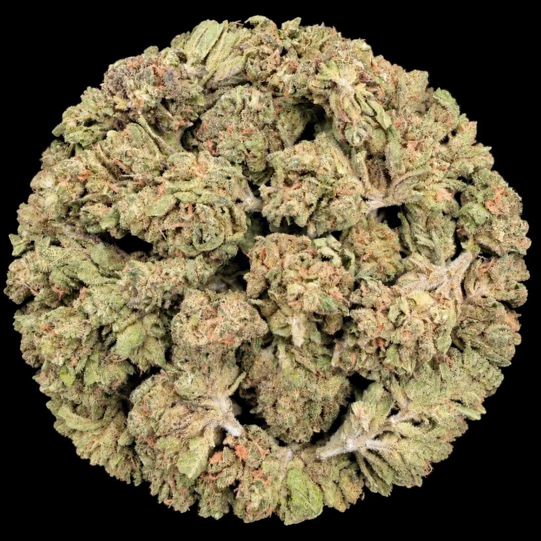 Gush Mintz THCA Flower - Lost In Translation