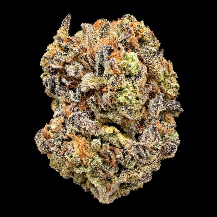 Gushers THCA Flower - Lost In Translation