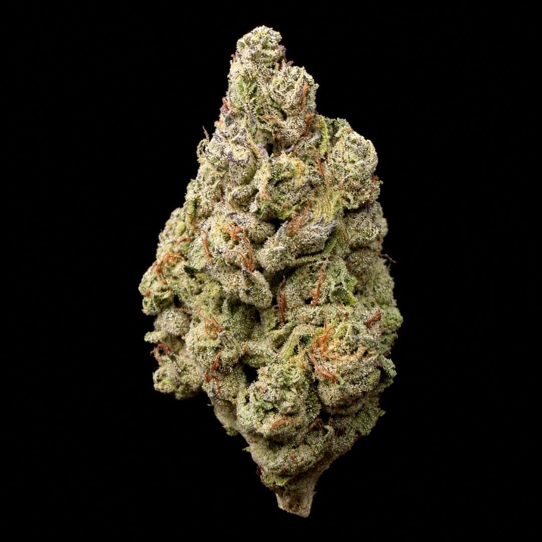 Gushers THCA Flower - Lost In Translation