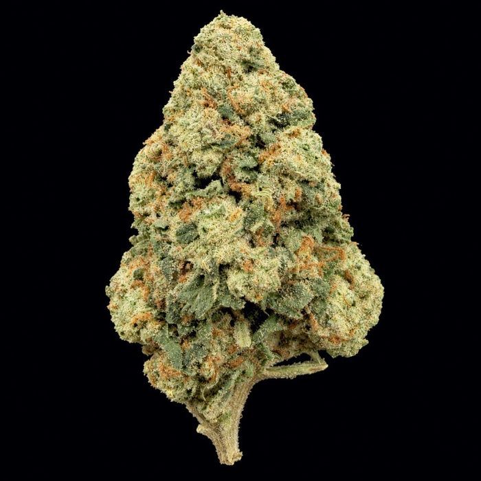 Hashburger THCA Flower - Lost In Translation