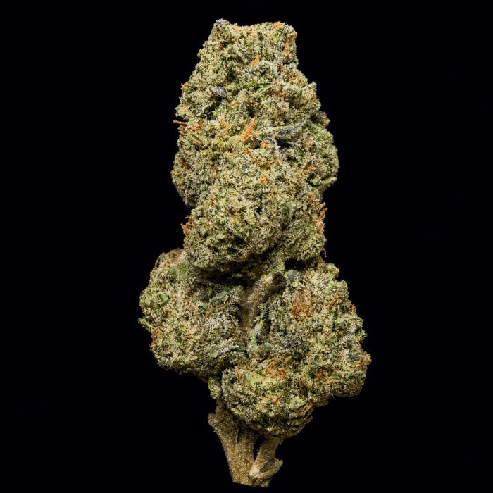 Hi-Octane THCA Flower - Lost In Translation