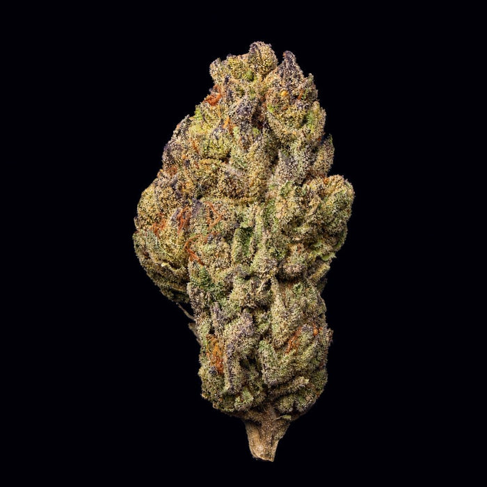 Ice Cream Cake THCA Flower - Lost In Translation