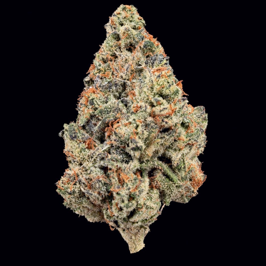 Jelly Cake THCA Flower - Lost In Translation