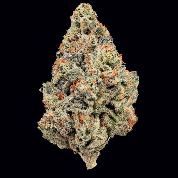 Jelly Cake THCA Flower - Lost In Translation