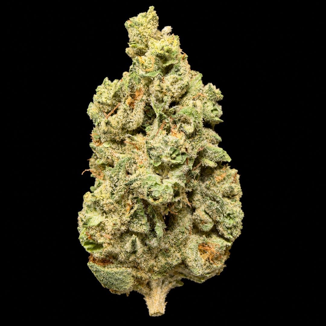 LA Kush Cake THCA Flower - Lost In Translation