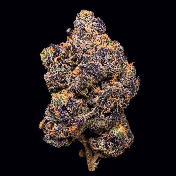 Lemon Cherry Gelato THCA Flower - Lost In Translation