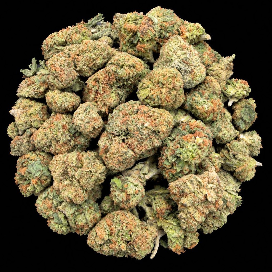 Lemon Cherry Gelato THCA Flower - Lost In Translation