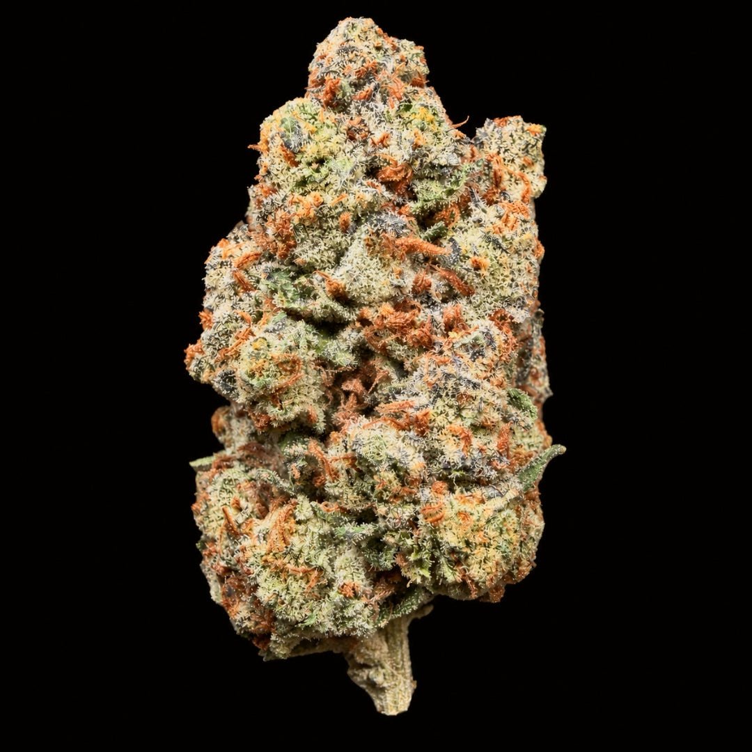 Lemon Jack THCA Flower - Lost In Translation