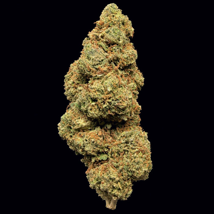 Lemon Jack THCA Flower - Lost In Translation