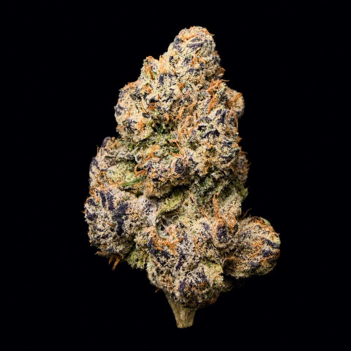Lemon OG THCA Flower - Lost In Translation