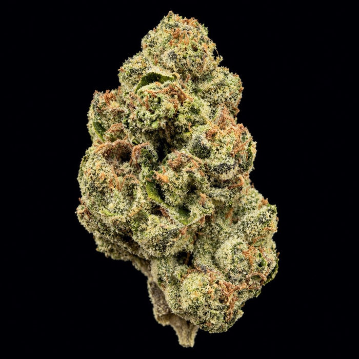 Lemon OG THCA Flower - Lost In Translation
