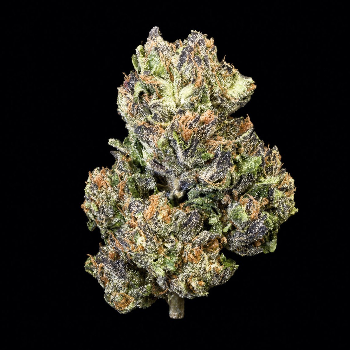 Lemon Cherry Beltz THCA Flower - Lost In Translation