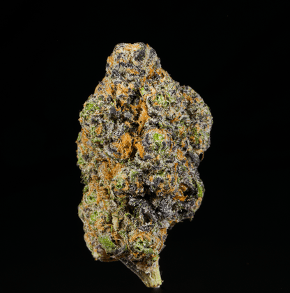 Sticky Rice THCA Flower - Lost In Translation