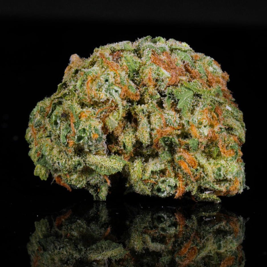 Blue Dream THCA Flower - Lost In Translation